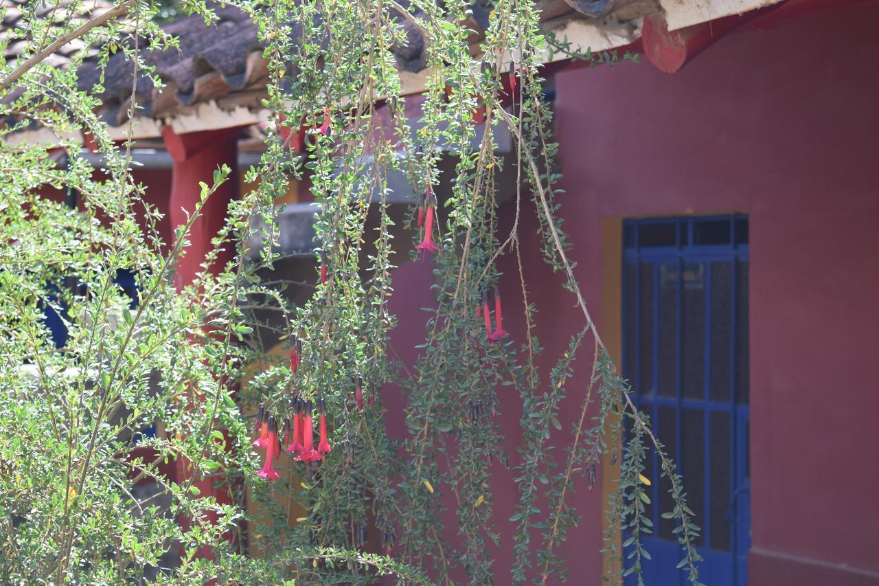 La Casita De Mi Abuela Hostel Mancos Bagian luar foto